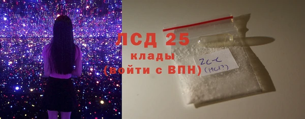 ГАЛЛЮЦИНОГЕННЫЕ ГРИБЫ Михайлов