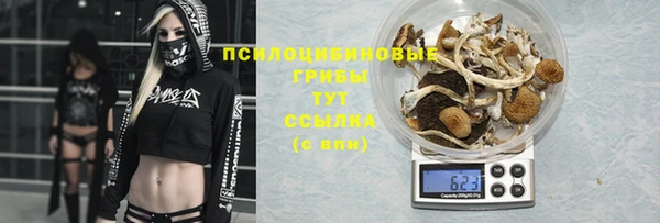 прущая мука Михайловка