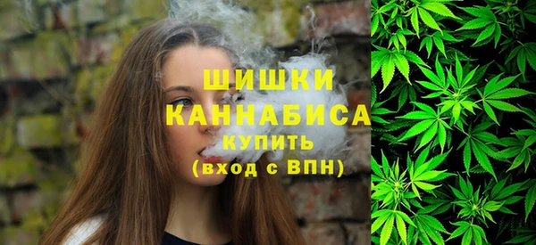 ГАЛЛЮЦИНОГЕННЫЕ ГРИБЫ Михайлов
