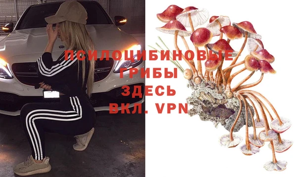 прущий лед Михайловск