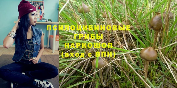 ГАЛЛЮЦИНОГЕННЫЕ ГРИБЫ Михайлов