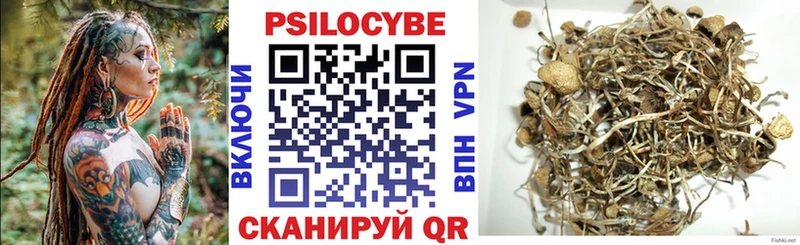 где найти   Карабаш  Псилоцибиновые грибы Magic Shrooms 